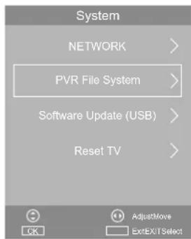 System NETWORK > PVR File System > Software Update (USB) > Reset TV >