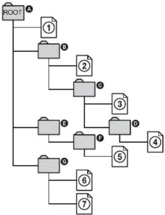 graph TD A["ROOT"] --> B["①"] A --> C["②"] A --> D["③"] A --> E["④"] A --> F["⑤"] A --> G["⑥"] A --> H["⑦"] B --> I["B"] C --> J["C"] D --> K["D"] E --> L["E"] F --> M["F"] G --> N["G"]