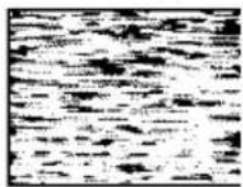 SONY SLV-N60 - Symptoms caused by contaminated video heads - 4