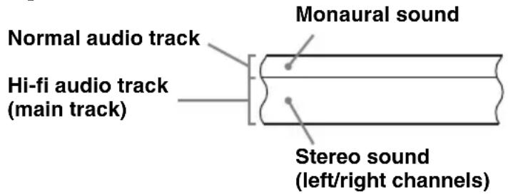 Normal audio track, Hi-fi audio track (main track), Monaural sound, Stereo sound (left/right channels)