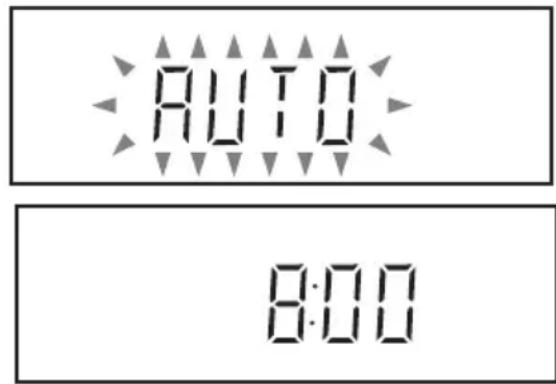 AUTO 8:00