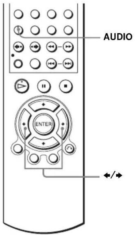 AUDIO ENTER +/>