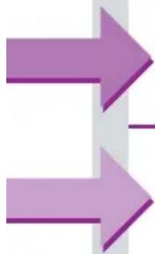 Two parallel purple arrows pointing right, separated by a gray horizontal line (no text or symbols)