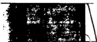 Scanned text of contract clauses with partially visible Chinese characters and a diagonal line above it.