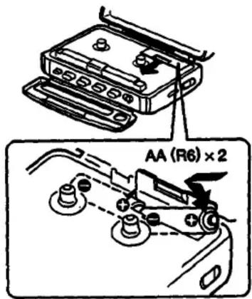 AA (R6) × 2