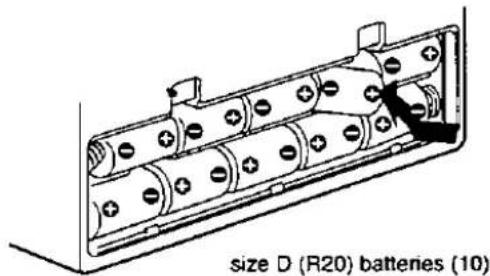 size D (R20) batteries (10)