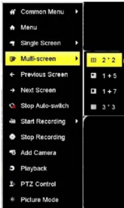 Common Menu Menu Single Screen Multi-screen Previous Screen Next Screen Stop Auto-switch Start Recording Stop Recording Add Camera Playback PTZ Control Picture Mode