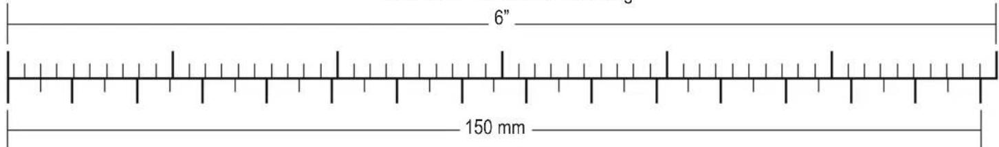 6" 150 mm