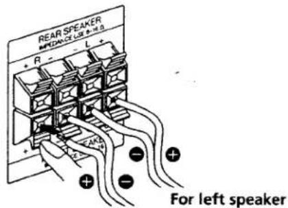 REAR SPEAKER REDADE (SE 8-9) R - L + For left speaker