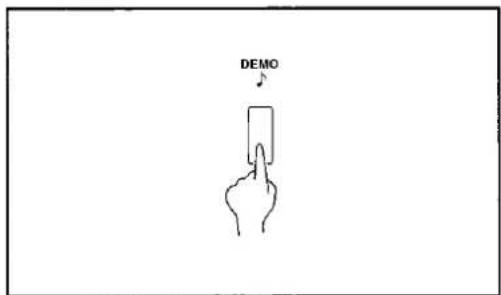 DEMO
