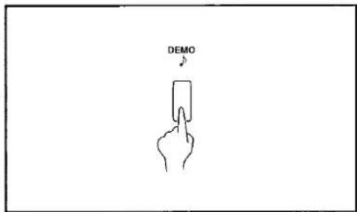 DEMO
