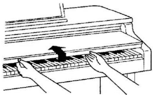 TECHNICS SX-PX224 - Keyboard cover - 1