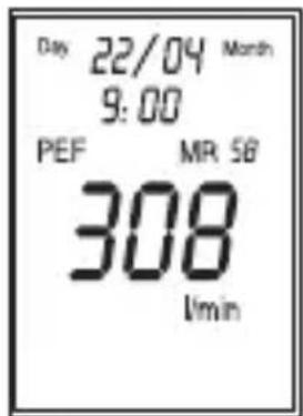 Day 22/04 Month 9:00 PEF MR 58 308 1/min