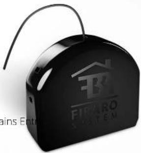 GINS FICARO SYSTEM