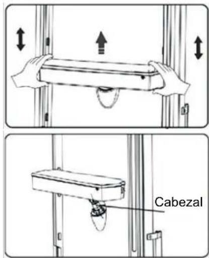 Cabezal