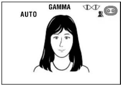 AUTO GAMMA