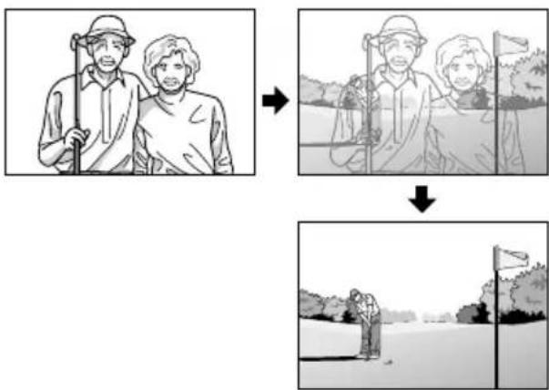 graph TD A["Participant with ginkgo"] --> B["Group of participants holding flags"] B --> C["Visitor taking a ginkgo on a field"] C --> D["Back view of ginkgo on the field"]