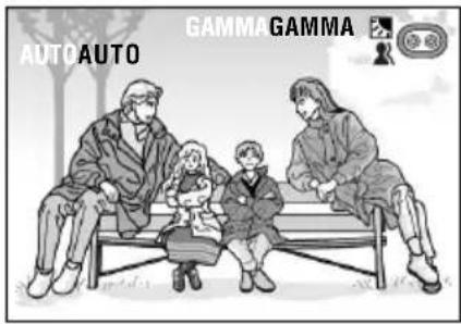 AUTO AUTO GAMMA GAMMA