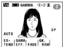 V4 GAMMA AUTO SP EX- GAMA QK. TEND EFF. FADE REW
