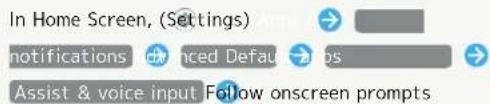 In Home Screen, (Settings) Notifications Advanced Default Assist & voice input. Follow onscreen prompts.