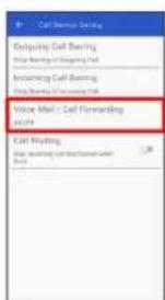 Outgoing Call Banning Start Banning of Starting Call Incoming Call Banning Start Banning of New York Call Voice Mail: Call Forwarding ALUT Call Waiting Start booking conversion under Bags