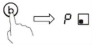 b → P □