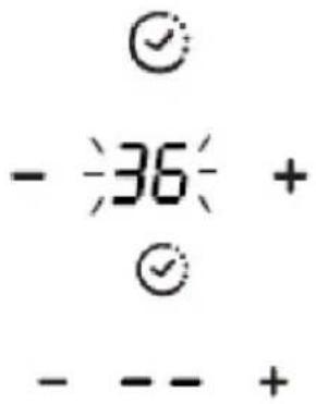 - 36 + - - - +