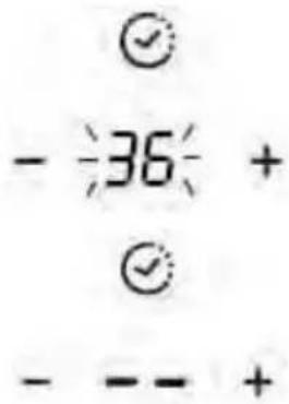 - 36 + - - - +