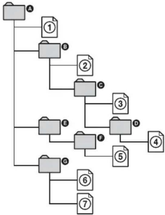 graph TD A["A"] --> B["B"] B --> C["C"] C --> D["D"] D --> E["E"] E --> F["F"] F --> G["G"] G --> H["①"] G --> I["②"] G --> J["③"] G --> K["④"] G --> L["⑤"] G --> M["⑥"] G --> N["⑦"]