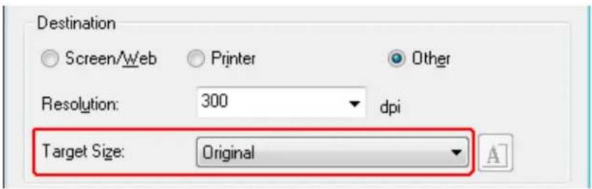 Destination Screen/Web Printer Other Resolution: 300 dpi Target Size: Original