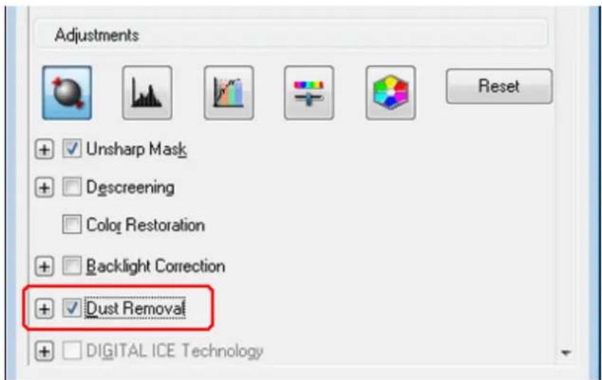 Adjustments + Unsharp Mask + Descreening + Color Restoration + Backlight Correction + Dust Removal + DIGITAL ICE Technology