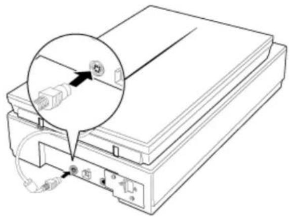 Line drawing of a printer with an attached cable and connector, showing internal components (no text or symbols)