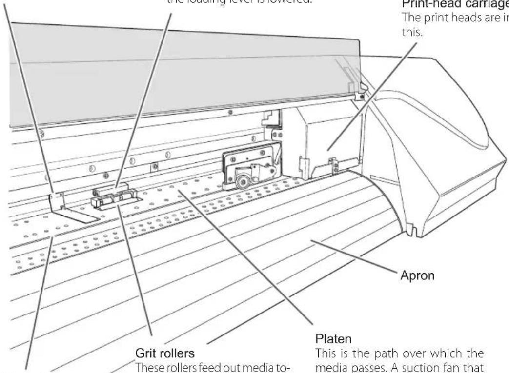 the loading level is lowered. Print-head carriage The print heads are in this. Apron Grit rollers Platen These rollers feed out media to- This is the path over which the media passes. A suction fan that