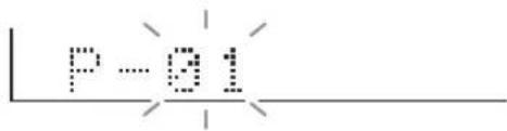 P-81