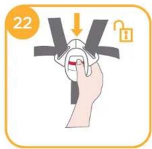 22