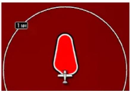 1 NM