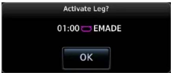 Activate Leg? 01:00 EMADE OK