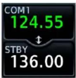 COM1 124.55 ↑ STBY 136.00