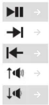 Vertical sequence of directional and speaker icons with arrows pointing right, left, and up/down respectively