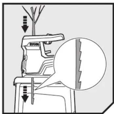 Technical diagram showing tree trunk with labeled components and a magnified view of a broken wall section