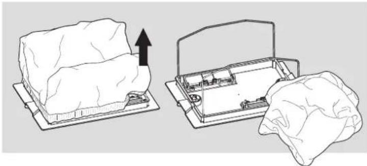 MAYTRONICS Dolphin Swash - Removing and cleaning the filter bag - 5