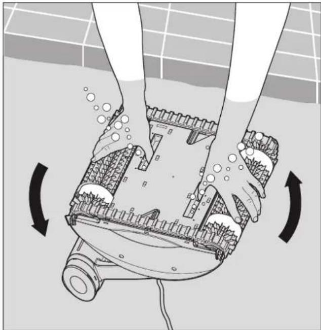 MAYTRONICS Dolphin Swash - Putting the Pool Cleaner into the pool - 1