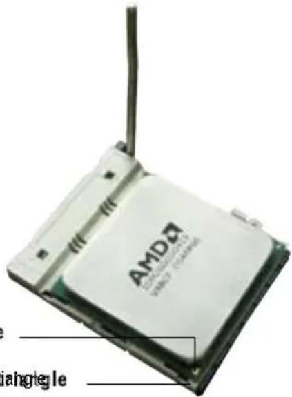 AMD4 AMDI ANGLE
