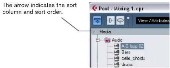 The arrow indicates the sort column and sort order. Pool - Mixing 1.cpr View / Attributes Media Audio A.G loop 02 Bases cello_chords drums