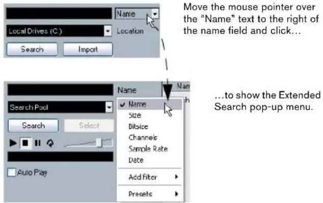 Move the mouse pointer over the "Name" text to the right of the name field and click... Search Import Search Pool Search Select Auto Play Name Name Size Bitsize Channels Sample Rate Date Add filter Presets ...to show the Extended Search pop-up menu.
