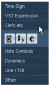 Time Sign, VST Expression, Clefs etc., Note Symbols, Dynamics, Line / Trill, Other
