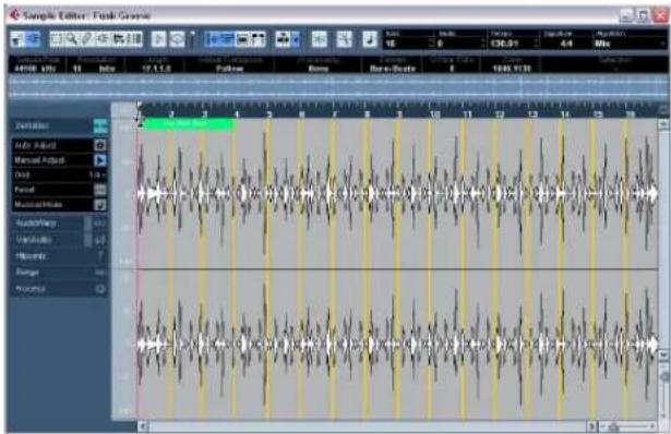 Sample Editor: Push Green 44100 MHz 11 Bits 17.4.1.0 Follow Home Base-Scale 8 1943.12.35 Animation Auto Adjust Manual Adjust Tool 1.4 Panel Musical Realms Audio/Temp Variable 6 Hypofo Range 7 Process 100% 100% 100% 100% 100% 100% 100%