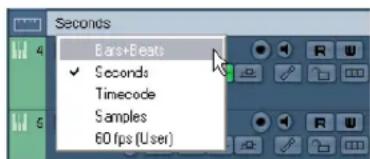Seconds Bars+Beats ✓ Seconds Timecode Samples 60 fps (User)