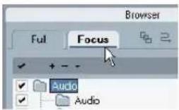 Browser Ful Focus Audio Audio