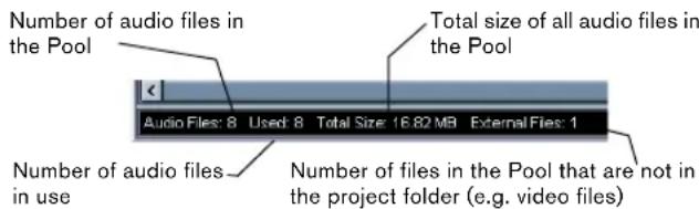 Number of audio files in the Pool Total size of all audio files in the Pool Audio Files: 8 Used: 8 Total Size: 16.82 MB External Files: 1 Number of audio files in use Number of files in the Pool that are not in the project folder (e.g. video files)